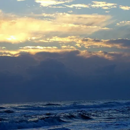 Les Rives Du Le Grau-du-Roi