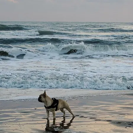 Apartament Les Rives Du Le Grau-du-Roi