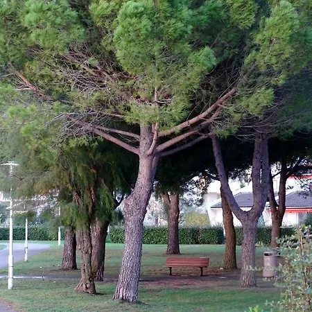 דירה Les Rives Du