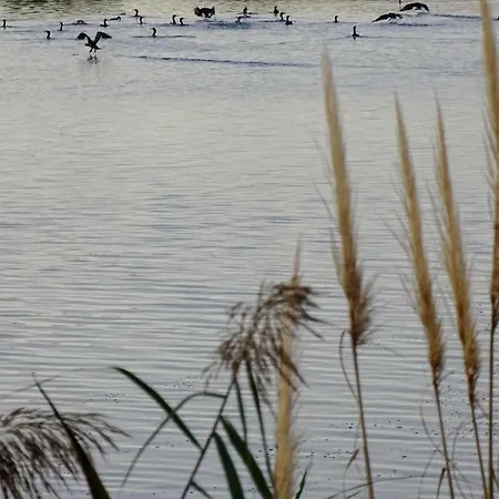 Les Rives Du * Le Grau-du-Roi