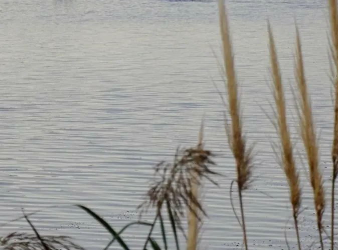 Les Rives Du * ル・グロー・デュ・ロワ